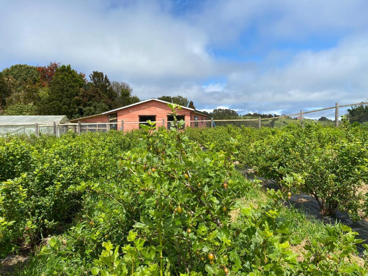 Cabana Nueva En Ancud Chiloe Luaran gambar