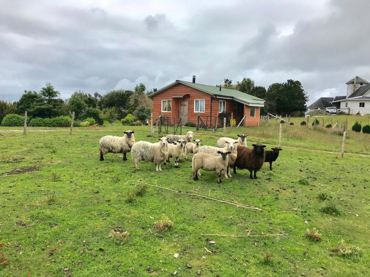 Cabana Nueva En Ancud Chiloe Luaran gambar